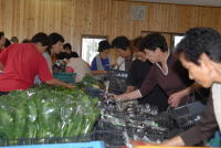 あぐりっち戸出店内