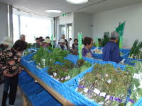 あぐりっち矢田店内