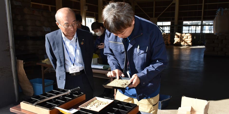 10.31大豆初検査